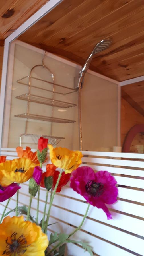 Chambres Et Roulotte De La Gentilhommiere Chazey-sur-Ain ภายนอก รูปภาพ